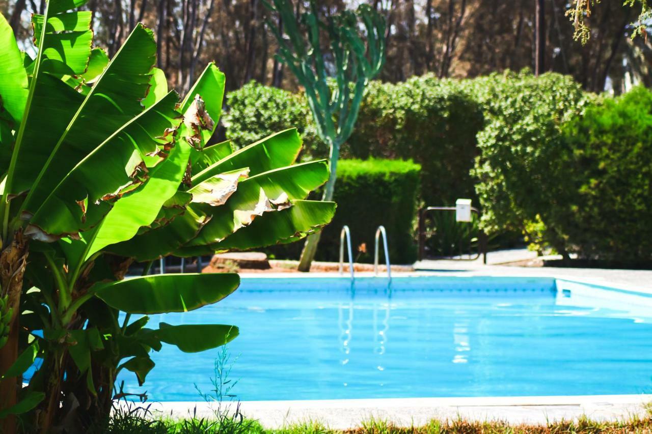 Moon-Light Studio Hotel Larnaca Esterno foto